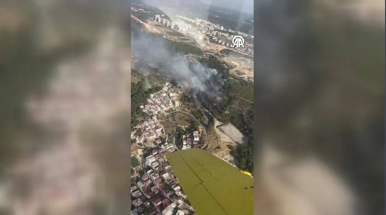 Bornova’da orman yangını - Resim: 7